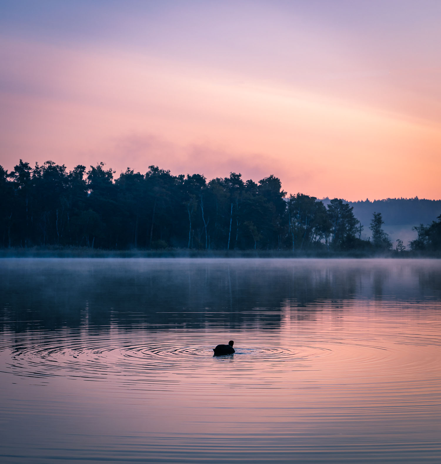 picture of the lake katzensee at sunrise